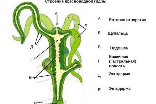 Kraken адрес onion